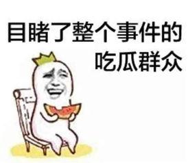 娱乐吃瓜蜀黍广告语是什么,揭秘娱乐圈那些事儿